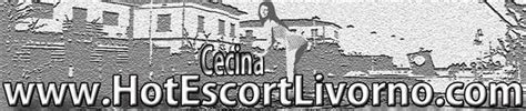 escort trans cecina|⚧️ Annunci Trans Cecina Annunci di Persone Trans o Escort。